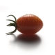Immagine Orto014.jpg