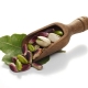 Immagine Pistacchio2.jpg